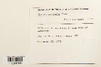 Image Associated With the Occurrence