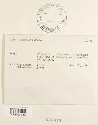 Image Associated With the Occurrence