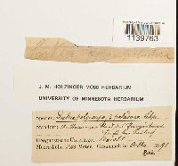 Image Associated With the Occurrence