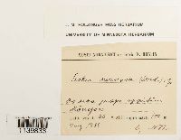 Image Associated With the Occurrence