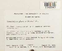 Image Associated With the Occurrence