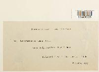 Thumbnail image of current specimen