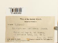 Image Associated With the Occurrence