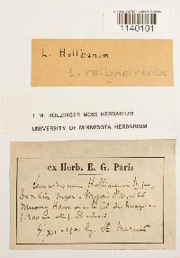 Thumbnail image of current specimen