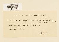 Thumbnail image of current specimen