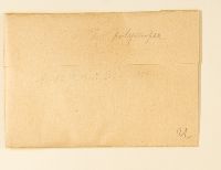 Leskea polycarpa image