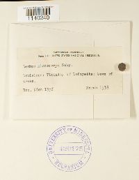 Image Associated With the Occurrence