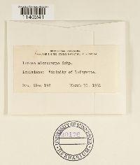 Image Associated With the Occurrence