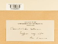 Image Associated With the Occurrence