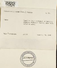 Image Associated With the Occurrence