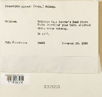 Image Associated With the Occurrence