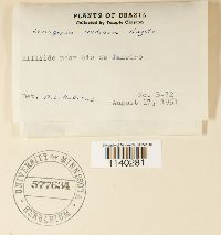 Thumbnail image of current specimen