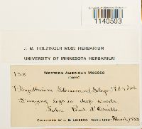 Herzogiella seligeri image