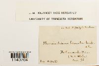Thumbnail image of current specimen