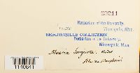 thumbnail image of current specimen