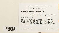 thumbnail image of current specimen