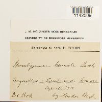 Image Associated With the Occurrence