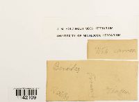 Image Associated With the Occurrence