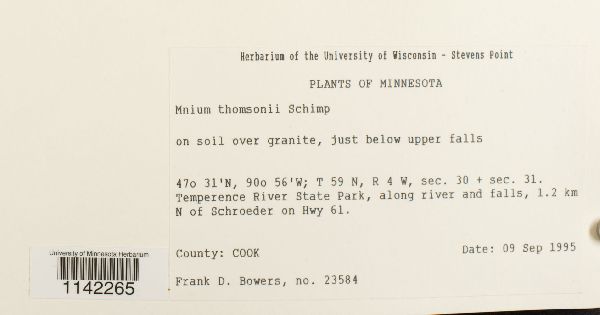 Mnium thomsonii image