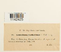 Thumbnail image of current specimen