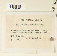 Image Associated With the Occurrence