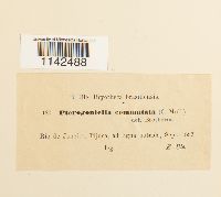 Image Associated With the Occurrence