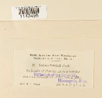 thumbnail image of current specimen