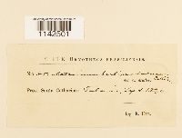 Image Associated With the Occurrence