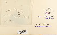 Pohlia ludwigii image