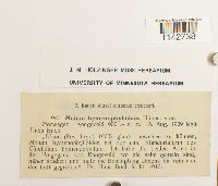 Image Associated With the Occurrence