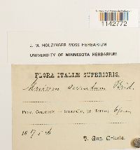 thumbnail image of current specimen