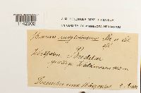 thumbnail image of current specimen