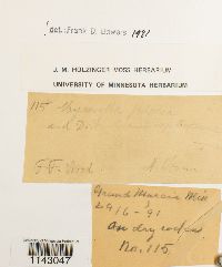 thumbnail image of current specimen