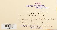 thumbnail image of current specimen