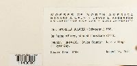 thumbnail image of current specimen