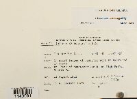 thumbnail image of current specimen