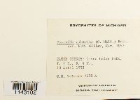 Myurella sibirica image