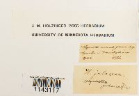 thumbnail image of current specimen