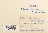 thumbnail image of current specimen