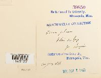 thumbnail image of current specimen
