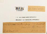 Image Associated With the Occurrence