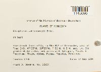 Oncophorus wahlenbergii image