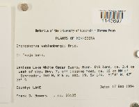 Oncophorus wahlenbergii image