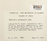 Oncophorus wahlenbergii image