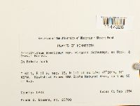 Media resource of Orthotrichum elegans