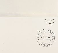 Orthotrichum pumilum image