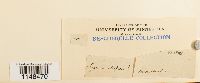 thumbnail image of current specimen