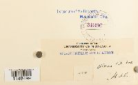 thumbnail image of current specimen