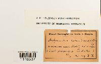 thumbnail image of current specimen