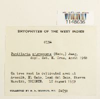 Image Associated With the Occurrence